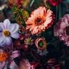 flowergirl333